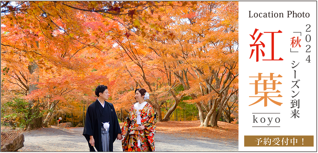 2024「秋」シーズン到来紅葉